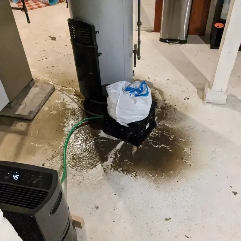 Sewage Backup Cleanup Service in Middleburg, PA